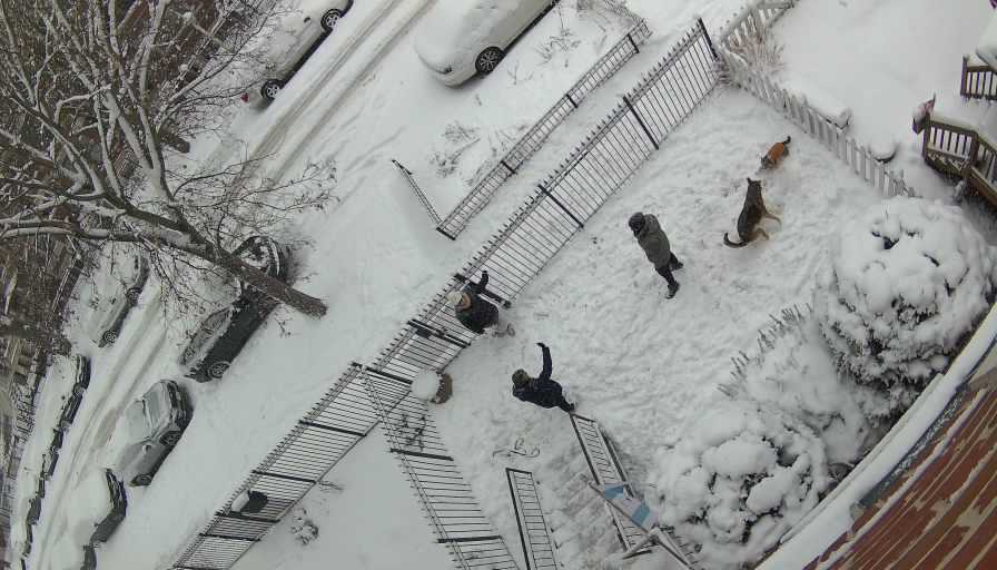 Reolink Camera Two_01_Reolink Home Hub One_20260125145110.jpg